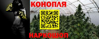 дживик Пенза